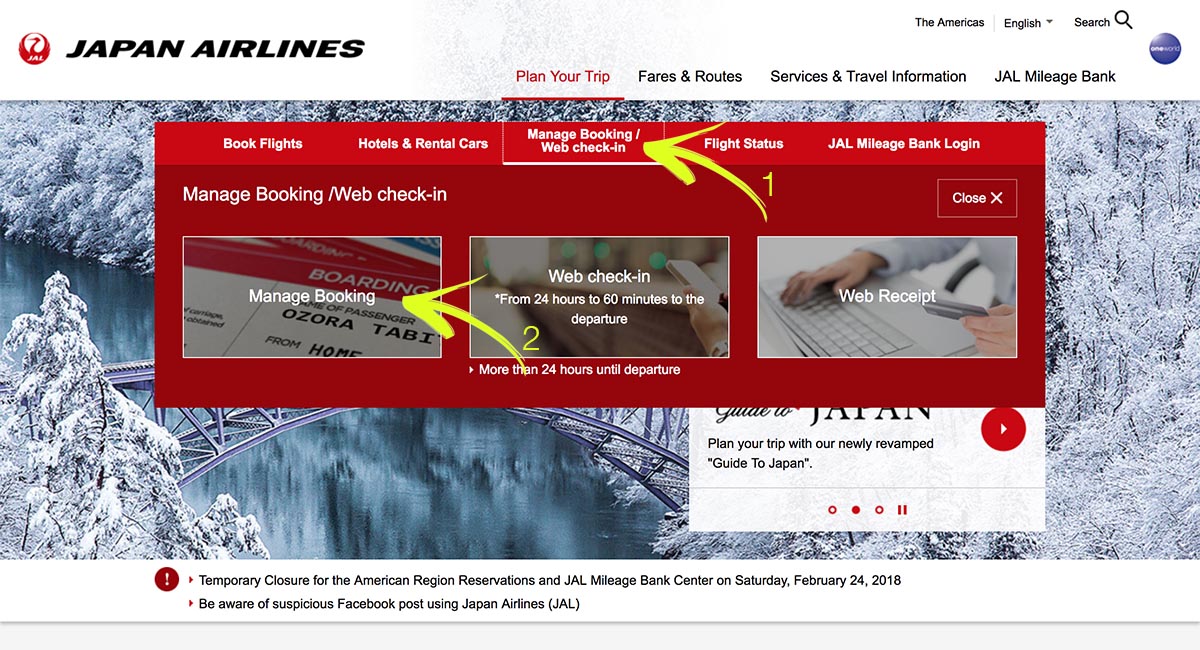 the ultimate guide to using bas avios for japanese domestic