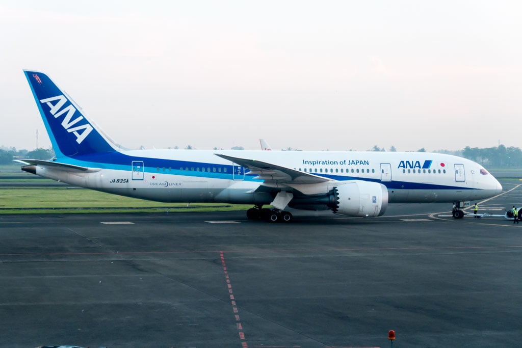 ANA 787