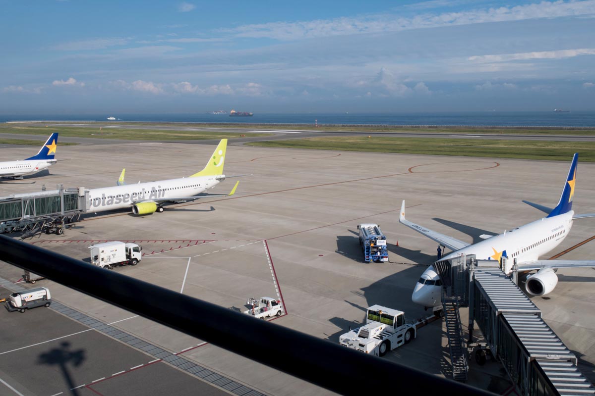 Boeing 737-800 Popularity
